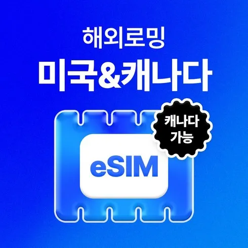 기간한정특가 미국esim 해외여행 추천